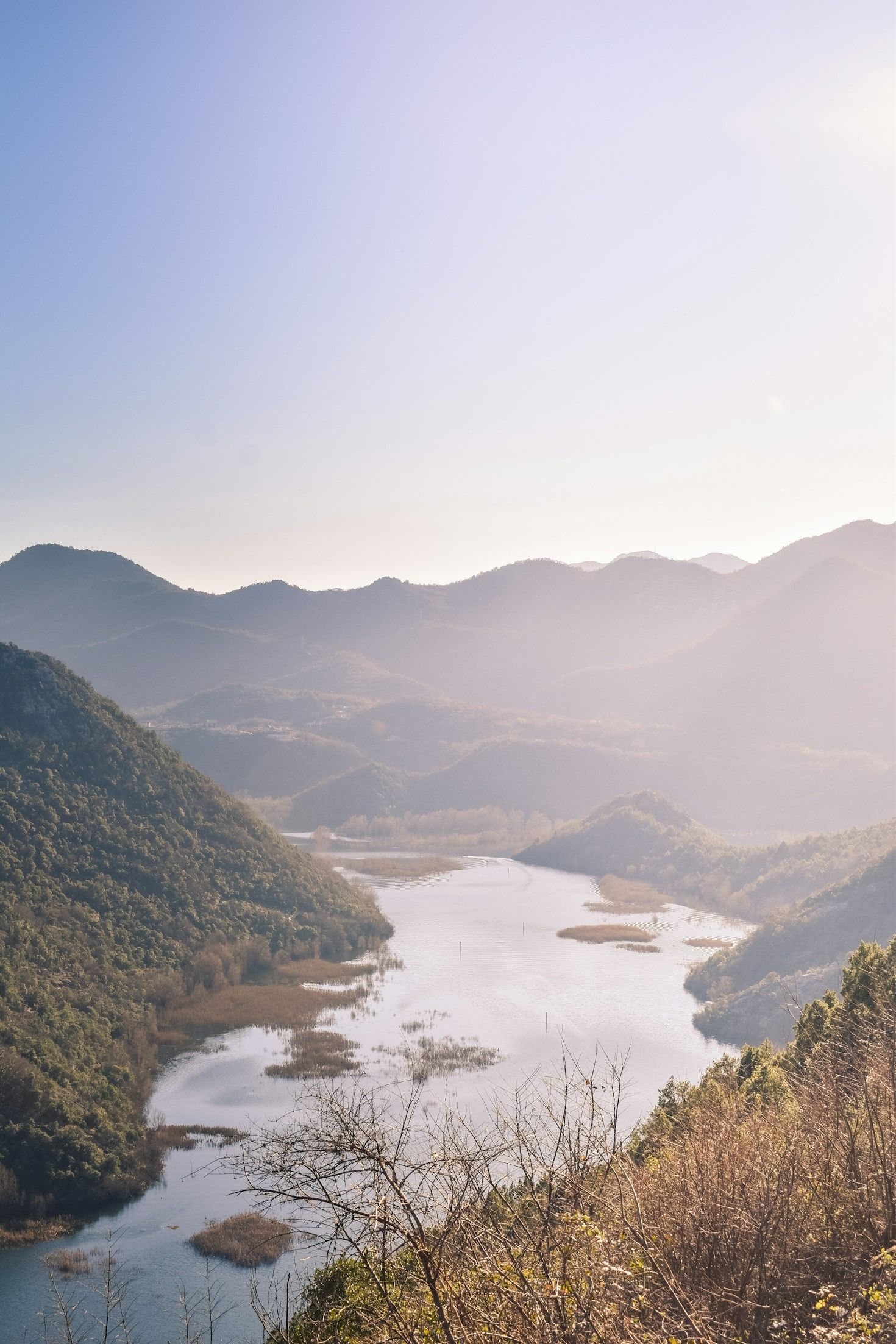 The Role of Digital Design in Recovery Support